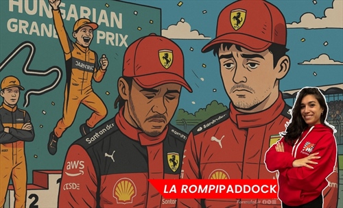 The rompipaddock - Horses in disarray