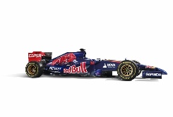 Foto Scuderia Toro Rosso #